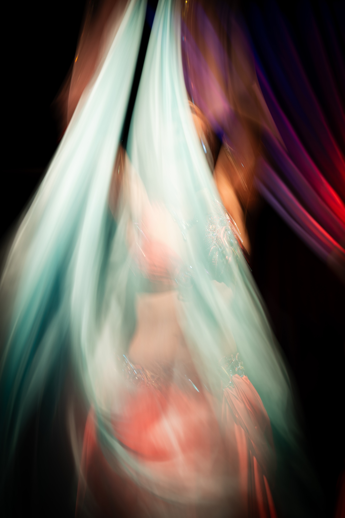 2511-Veils in Motion